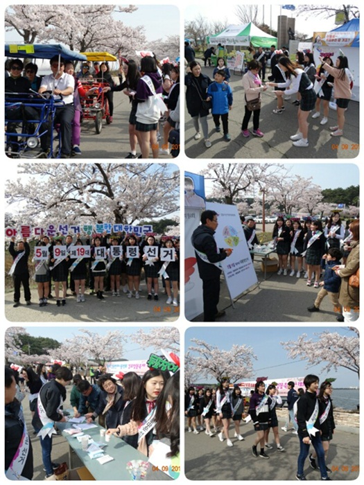 강릉경포 벚꽃잔치 이용 공명선거캠페인 실시